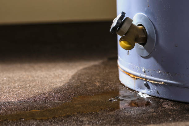 Water damage restoration mold remediation