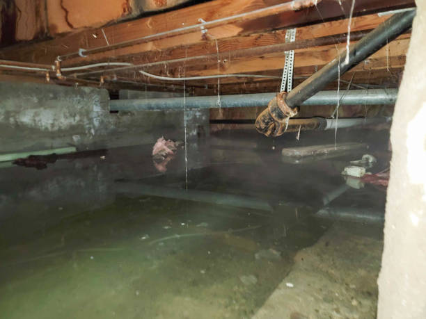 Local water damage restoration in Toquerville, UT