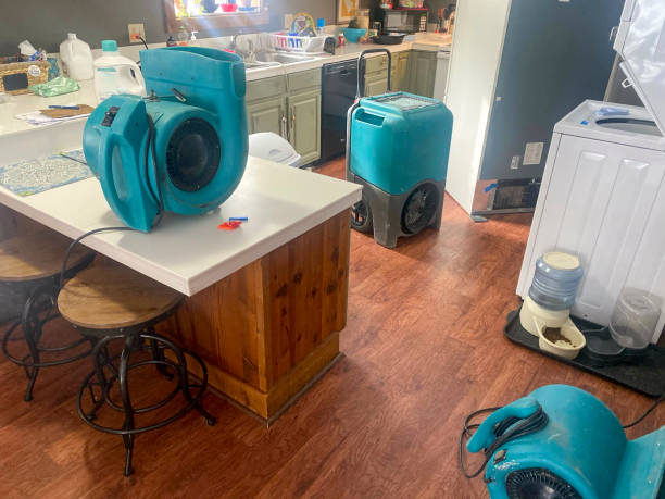 Best Local water damage restoration  in Toquerville, UT