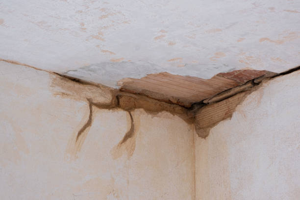Best Water damage restoration near me  in Toquerville, UT