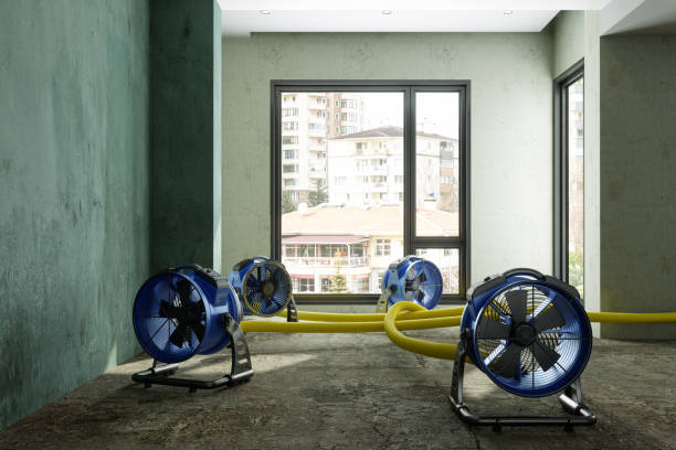 Best Residential water damage restoration  in Toquerville, UT