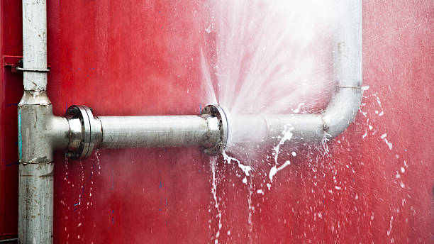 Best Flood damage cleanup  in Toquerville, UT