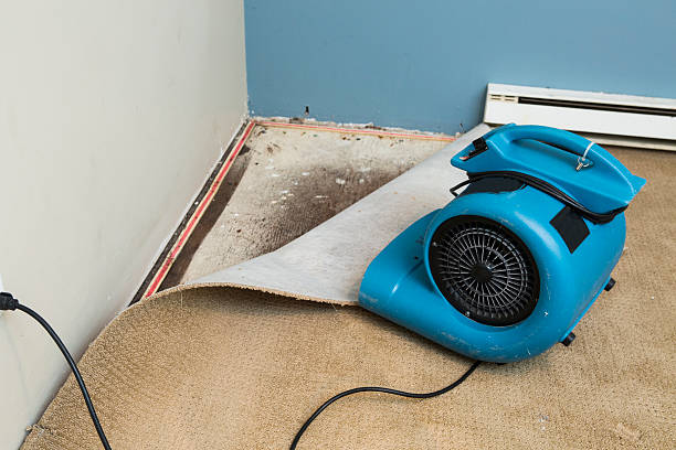 Best Water damage cleanup near me  in Toquerville, UT
